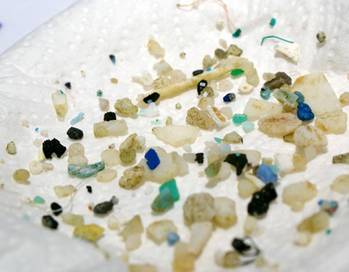 File Microplastic fragments from the western North Atlantic, collected using a towed plankton net. (Photo: Giora Proskurowski, Sea Education Association (SEA).)